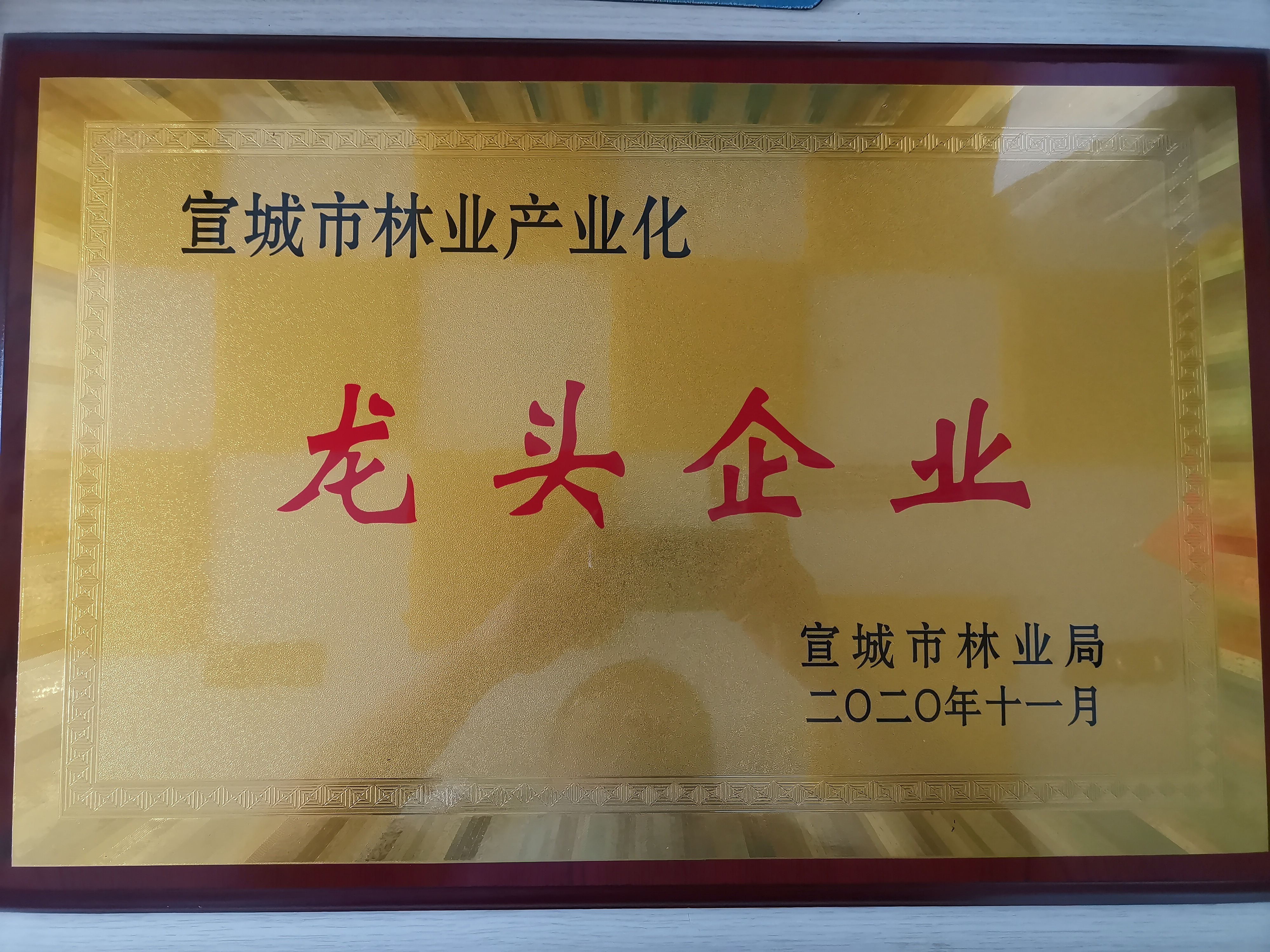 熱烈祝賀東南木業(yè)榮獲宣城市林業(yè)產(chǎn)業(yè)化龍頭企業(yè)單位